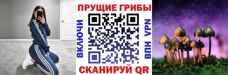 Псилоцибиновые грибы GOLDEN TEACHER Данков
